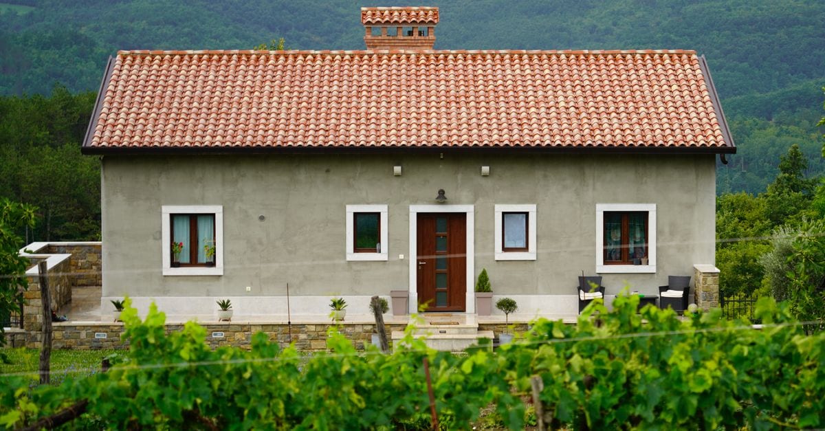 A glass of pale Istrian white wine in daylight
